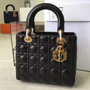 DiorϊW Lady Dior   ɫƤ  С̖