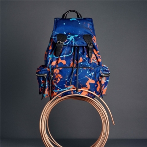 40649261 ͌ The Rucksack ̖ cD ͌а ܊{ɫ
