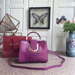 21F893 Ferragamo Ľ h {~y ̖w 朗l ɫ