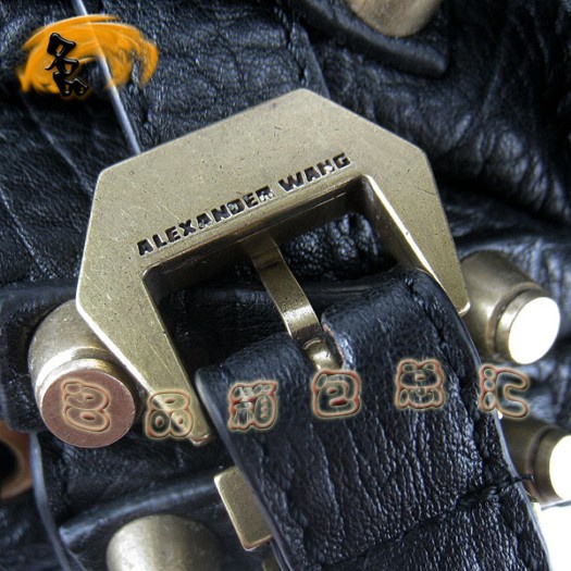 63462 Alexander Wang/ɽ reŮ  б ᔰ