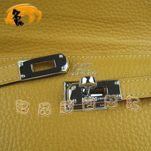 H009 Hermes(jng) Kellyϵ ֦yŮ (i)Rð HermesX Sɫ