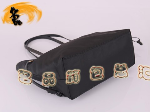 BR3924  _μ Pradae ˮŮ  ɫ