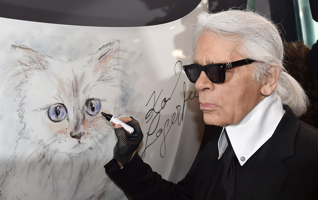 20152£Đ؈ChoupetteФϺ   ҕXЇD
