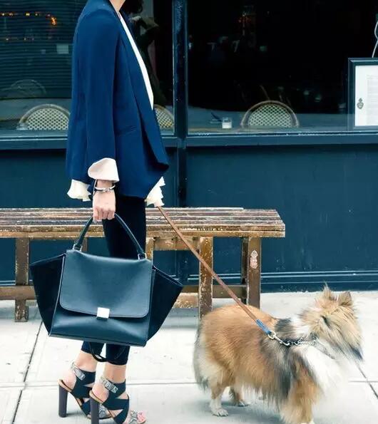 CELINE˼ֵIİBox, ЦĘǧĂrͶֹr