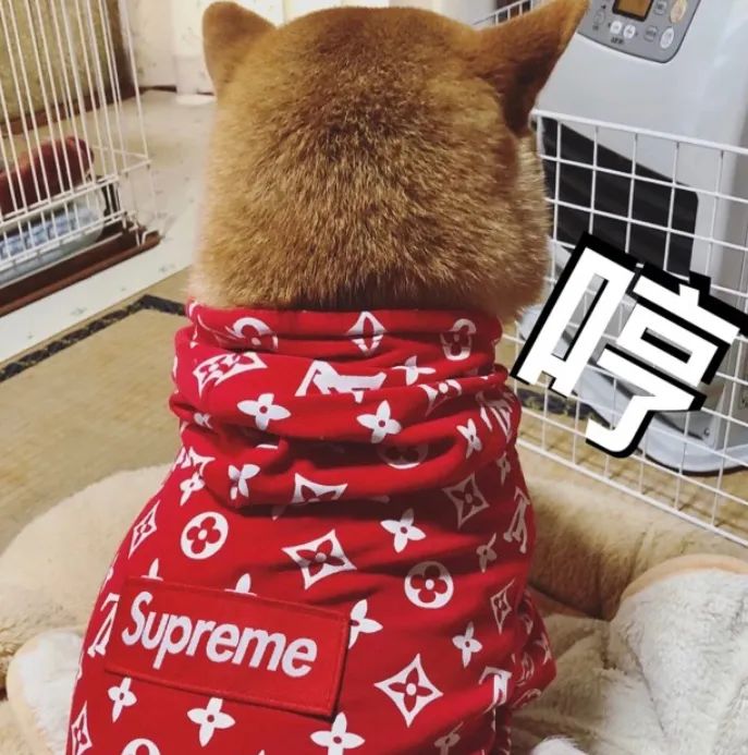 xVLV·AirPodsع⣬ۃrH350