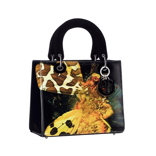 ϊWlDior Lady Art ϵִ